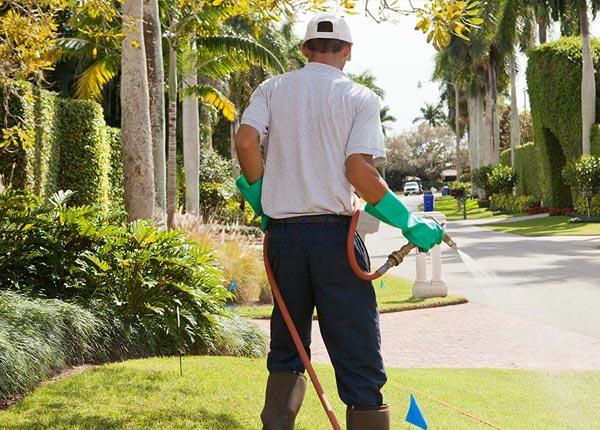 About Youngsville NY Pest Control